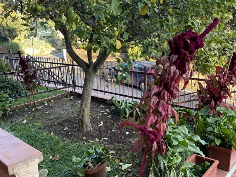 Immagine 1 di Appartamento in vendita  in Via del Cutignolo a Capalbio