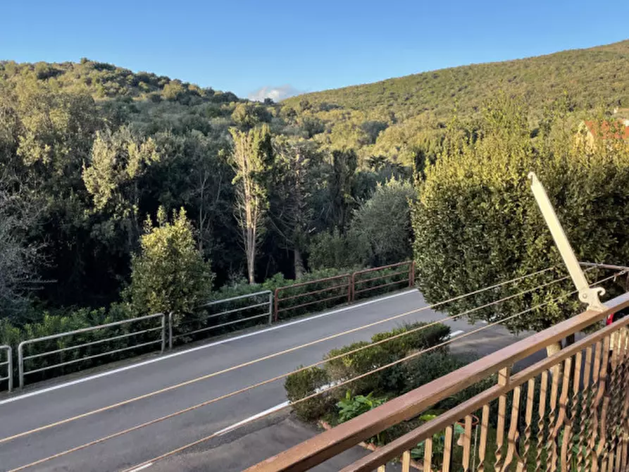 Immagine 8 di Appartamento in vendita  in Via del Cutignolo a Capalbio