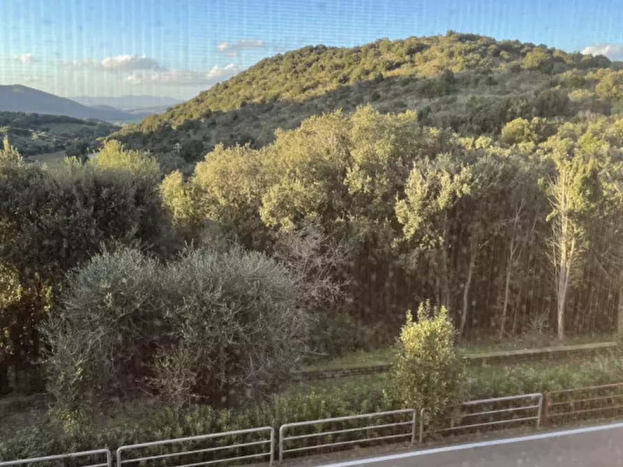 Immagine 23 di Appartamento in vendita  in Via del Cutignolo a Capalbio