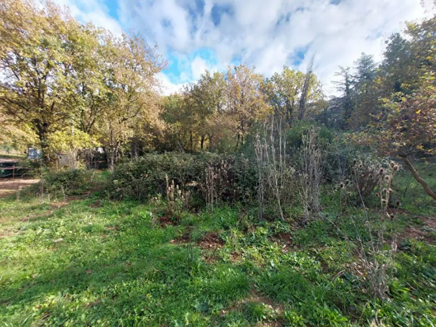 Immagine 5 di Terreno in vendita  in Via Lazzano, 04020 Itri LT, Italia a Itri