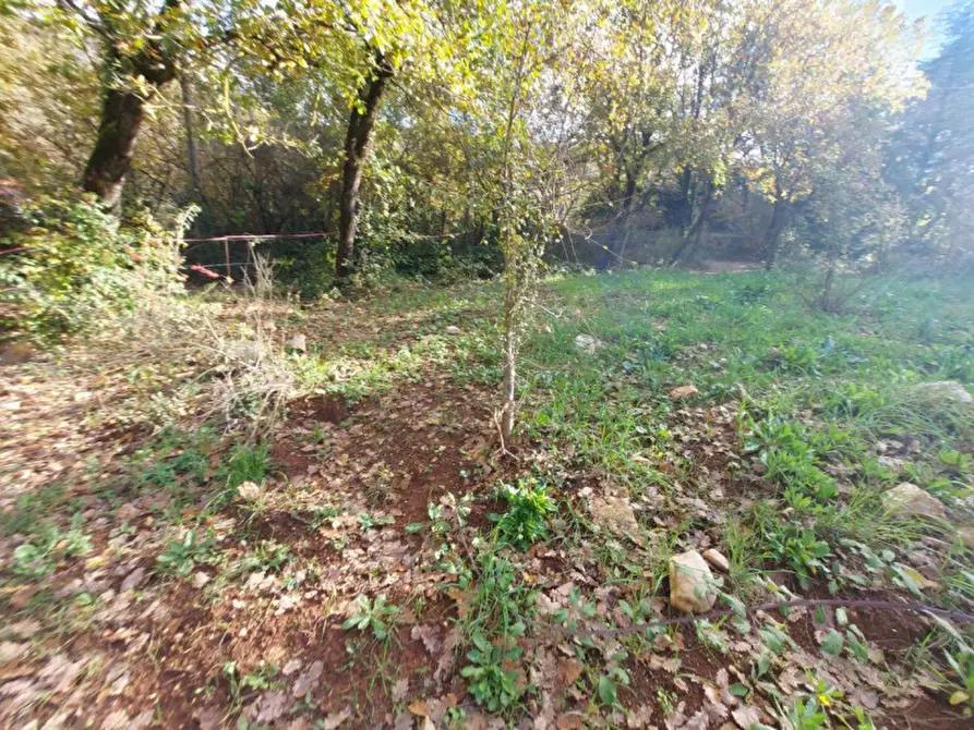 Immagine 6 di Terreno in vendita  in Via Lazzano, 04020 Itri LT, Italia a Itri