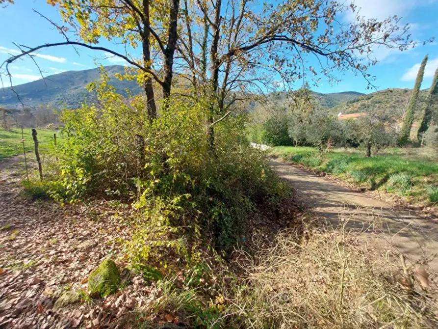 Immagine 7 di Terreno in vendita  in Via Lazzano, 04020 Itri LT, Italia a Itri