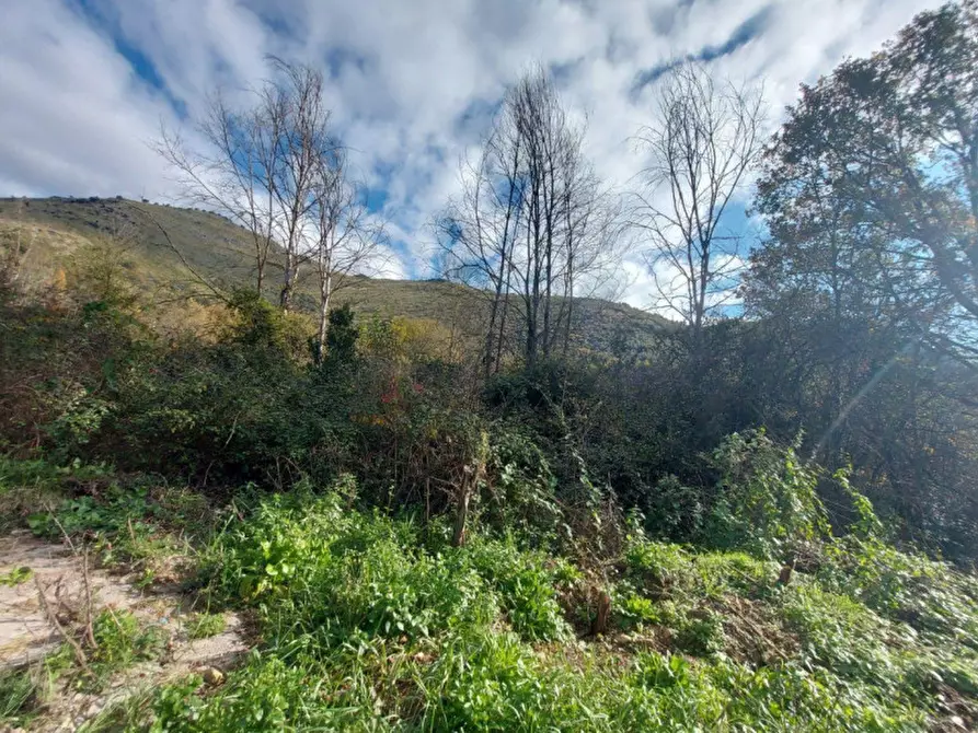 Immagine 8 di Terreno in vendita  in Via Lazzano, 04020 Itri LT, Italia a Itri