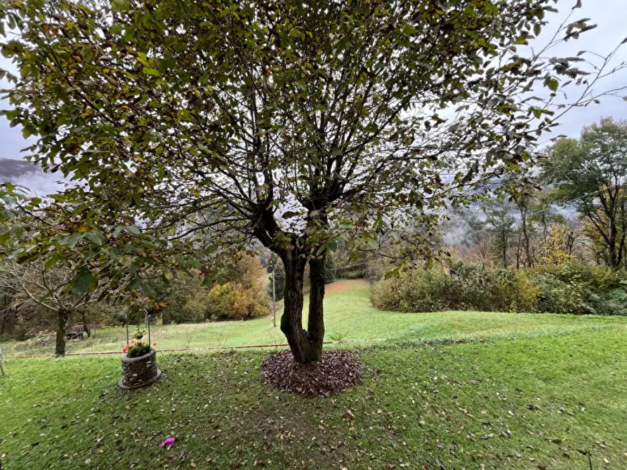 Immagine 14 di Rustico / casale in vendita  a Pezzaze