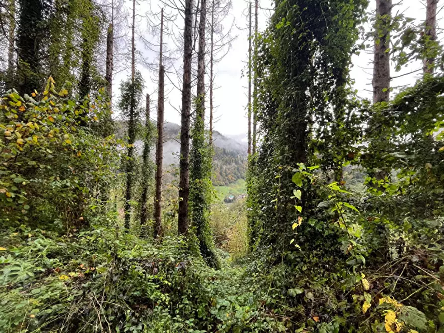 Immagine 32 di Rustico / casale in vendita  a Pezzaze