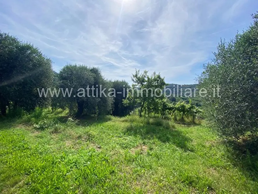 Immagine 8 di Rustico / casale in vendita  in Via Forestana a Cinto Euganeo