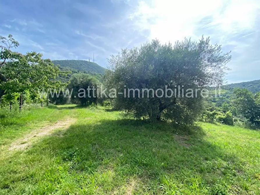 Immagine 9 di Rustico / casale in vendita  in Via Forestana a Cinto Euganeo