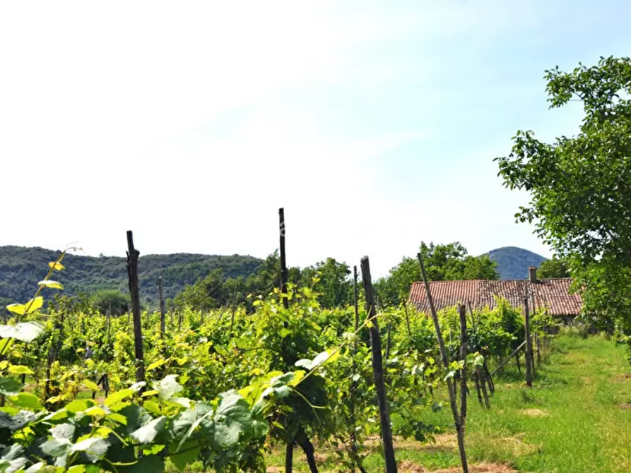 Immagine 11 di Rustico / casale in vendita  in Via Forestana a Cinto Euganeo