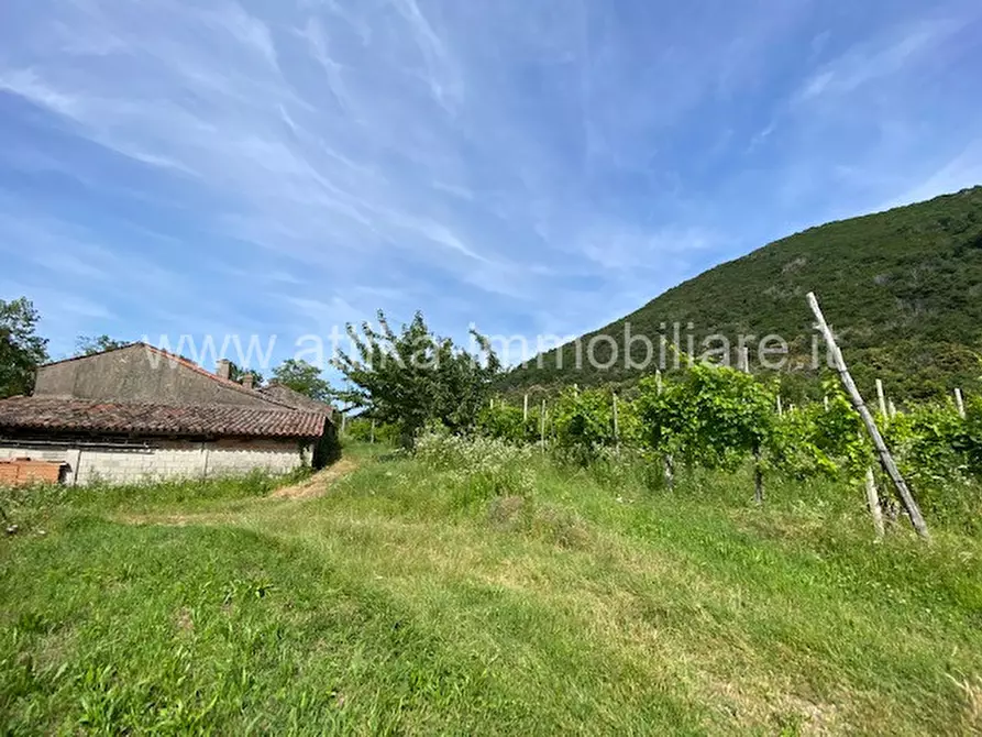 Immagine 13 di Rustico / casale in vendita  in Via Forestana a Cinto Euganeo