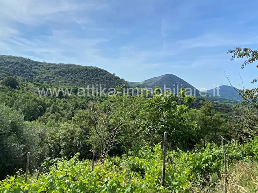 Immagine 14 di Rustico / casale in vendita  in Via Forestana a Cinto Euganeo