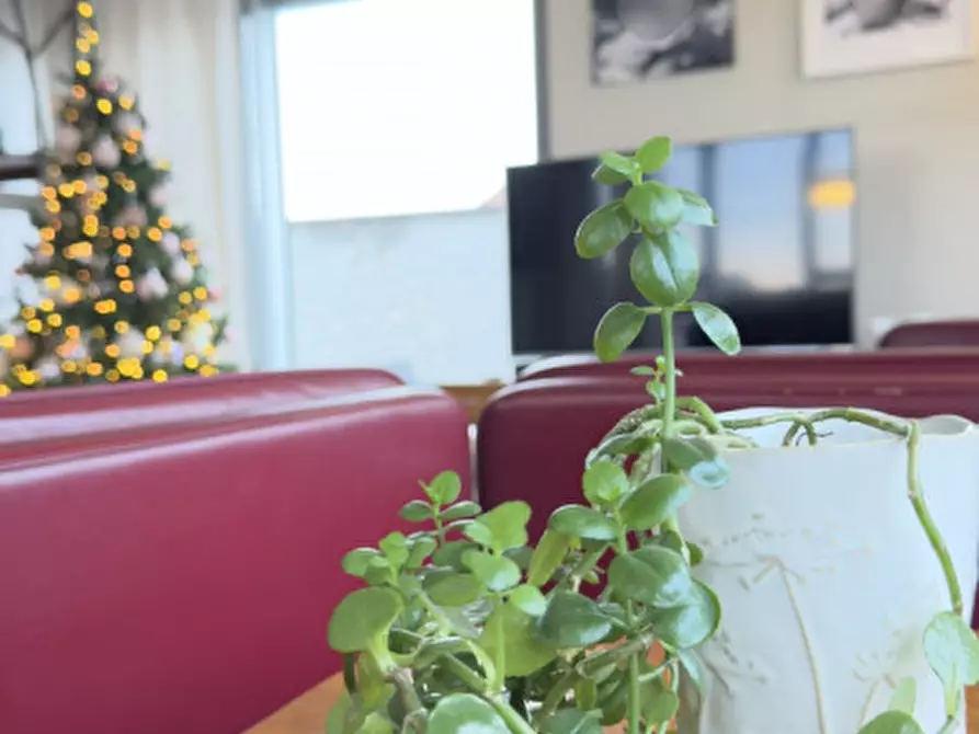 Immagine 48 di Appartamento in vendita  in Via Silvio Pellico, 2 a Zanè