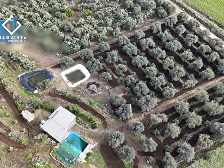 Immagine 1 di Terreno in vendita  in c.da Francello snc a Militello In Val Di Catania
