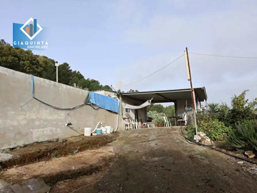 Immagine 3 di Terreno in vendita  in c.da Francello snc a Militello In Val Di Catania
