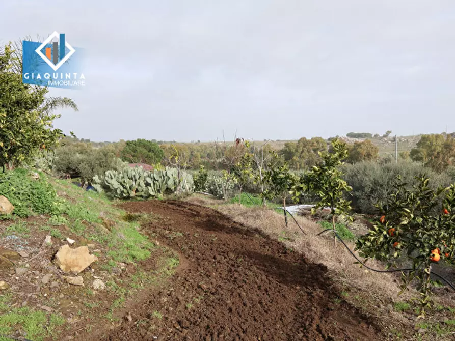 Immagine 4 di Terreno in vendita  in c.da Francello snc a Militello In Val Di Catania