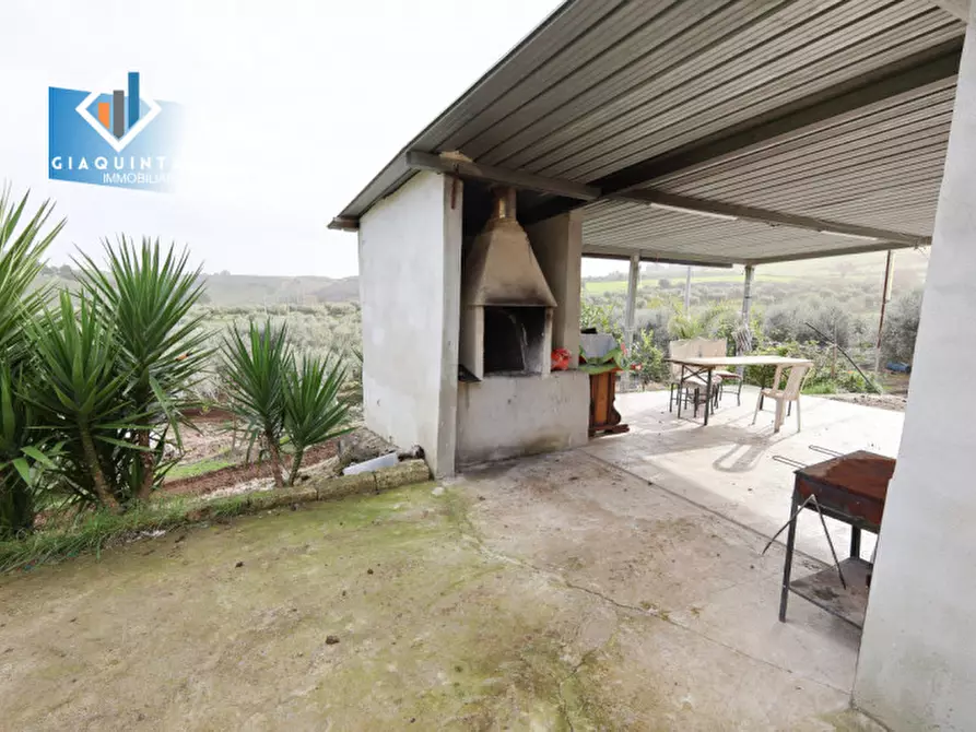 Immagine 6 di Terreno in vendita  in c.da Francello snc a Militello In Val Di Catania