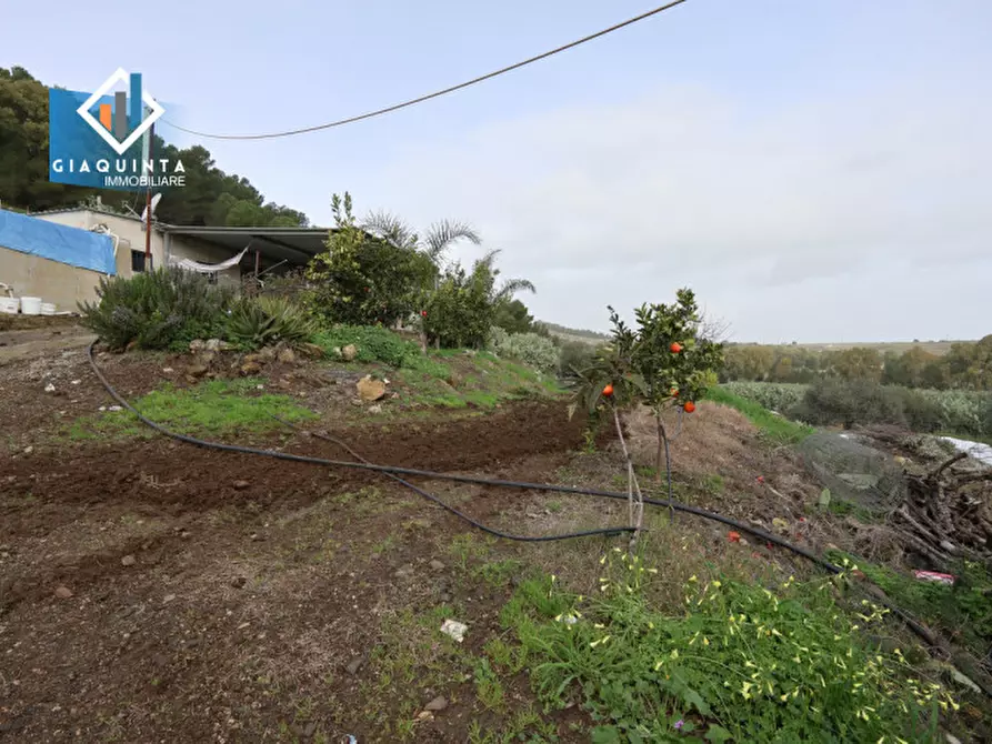 Immagine 12 di Terreno in vendita  in c.da Francello snc a Militello In Val Di Catania