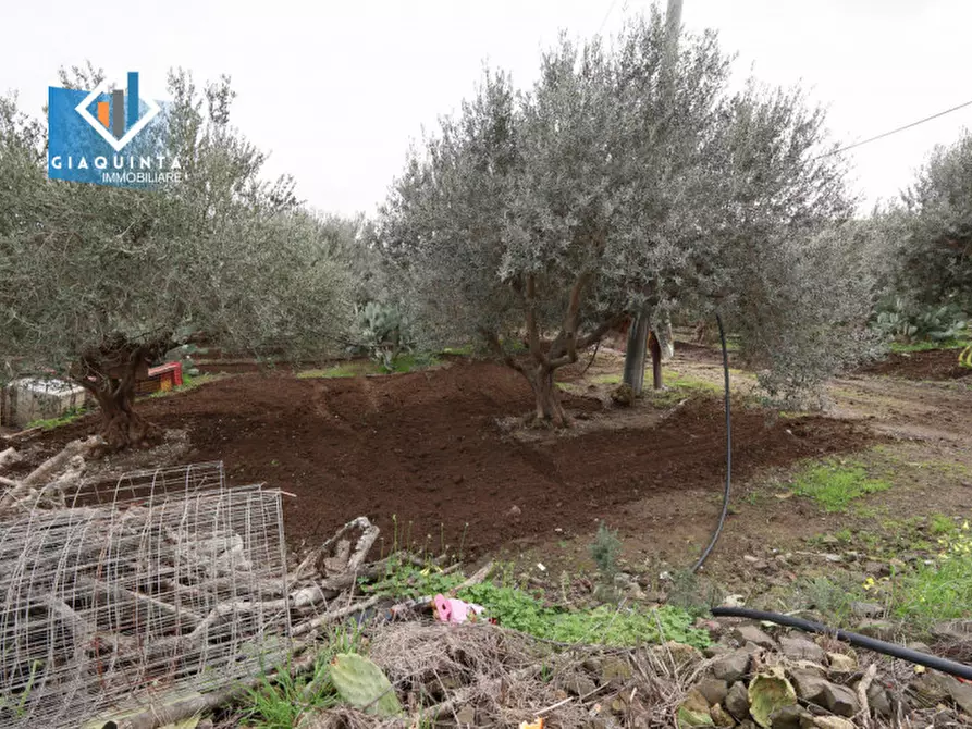 Immagine 14 di Terreno in vendita  in c.da Francello snc a Militello In Val Di Catania