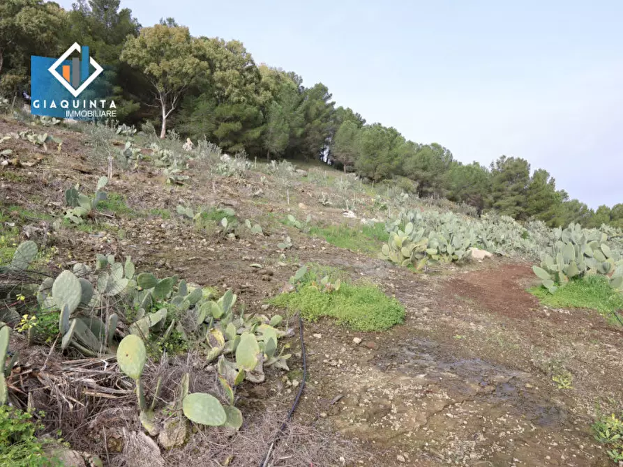 Immagine 17 di Terreno in vendita  in c.da Francello snc a Militello In Val Di Catania