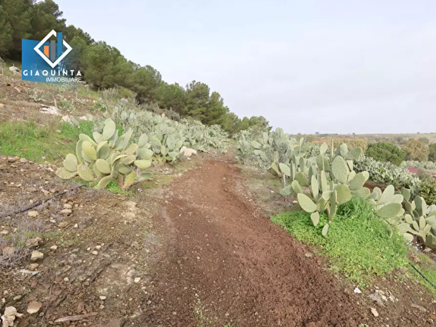 Immagine 18 di Terreno in vendita  in c.da Francello snc a Militello In Val Di Catania