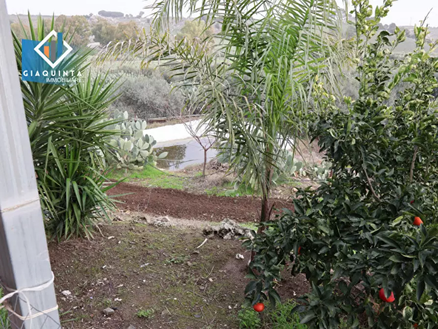 Immagine 20 di Terreno in vendita  in c.da Francello snc a Militello In Val Di Catania