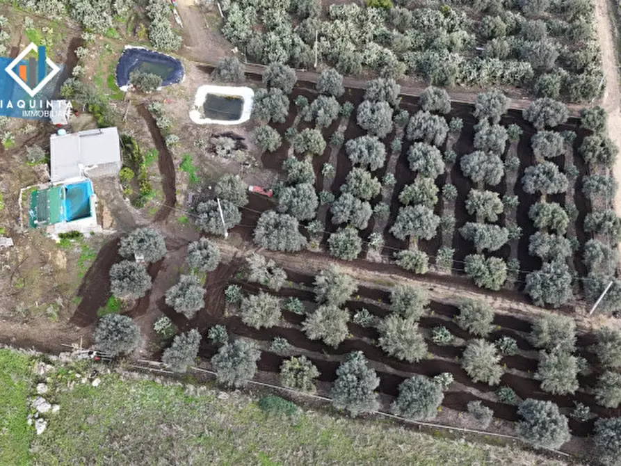Immagine 22 di Terreno in vendita  in c.da Francello snc a Militello In Val Di Catania