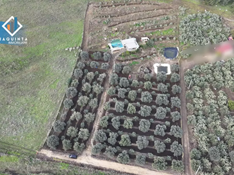 Immagine 25 di Terreno in vendita  in c.da Francello snc a Militello In Val Di Catania