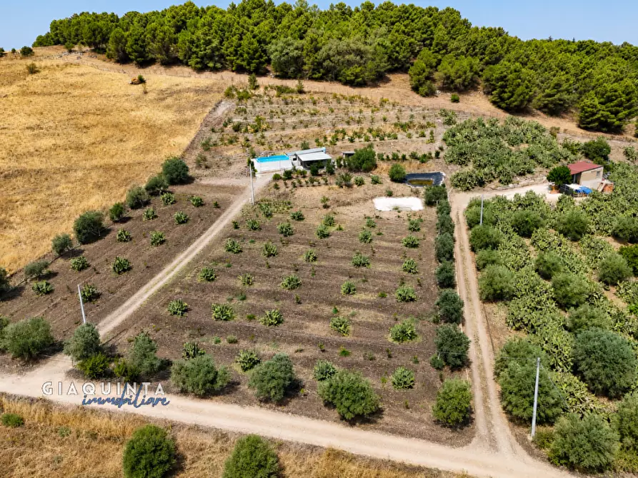 Immagine 25 di Terreno in vendita  in c.da Francello snc a Militello In Val Di Catania