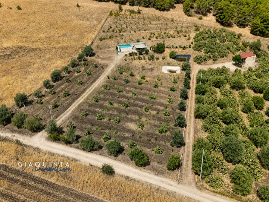 Immagine 28 di Terreno in vendita  in c.da Francello snc a Militello In Val Di Catania