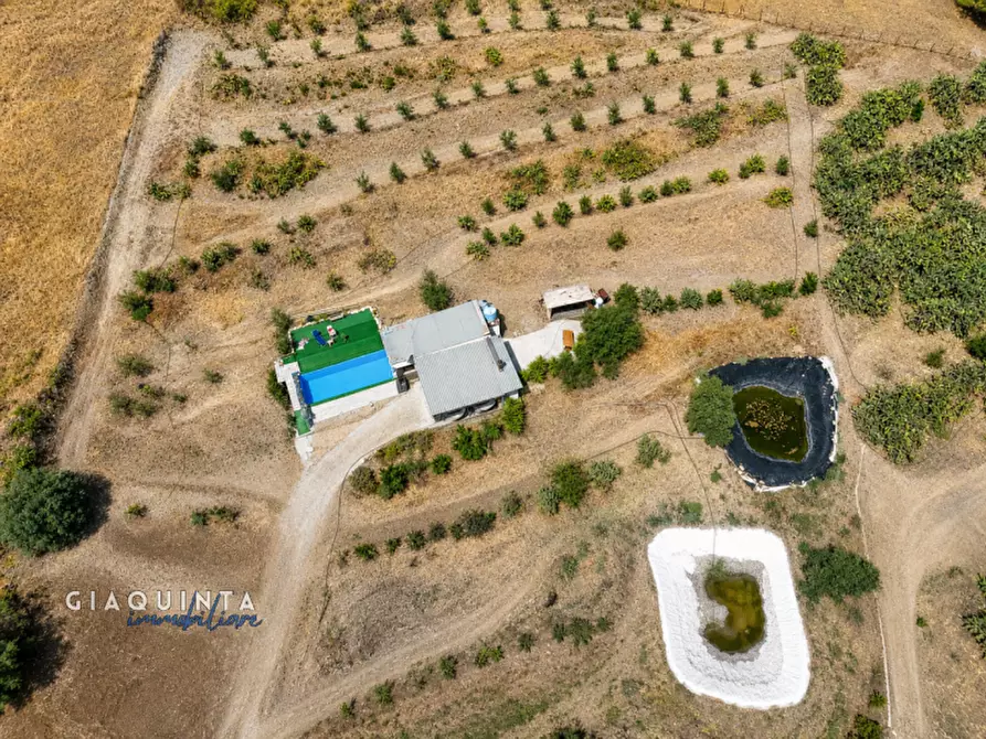 Immagine 34 di Terreno in vendita  in c.da Francello snc a Militello In Val Di Catania