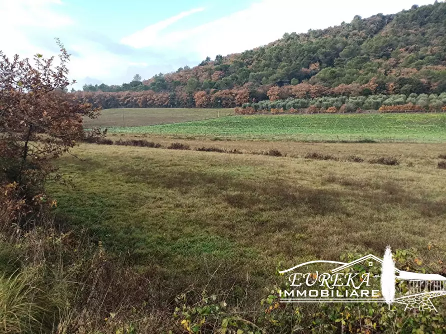 Immagine 2 di Terreno in vendita  in CASALINI a Panicale