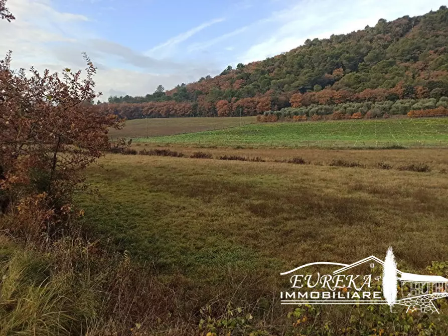 Immagine 3 di Terreno in vendita  in CASALINI a Panicale