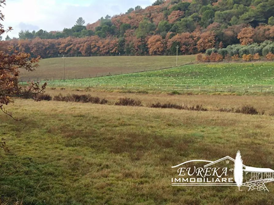 Immagine 5 di Terreno in vendita  in CASALINI a Panicale