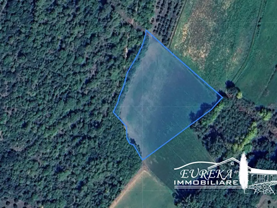 Immagine 6 di Terreno in vendita  in CASALINI a Panicale