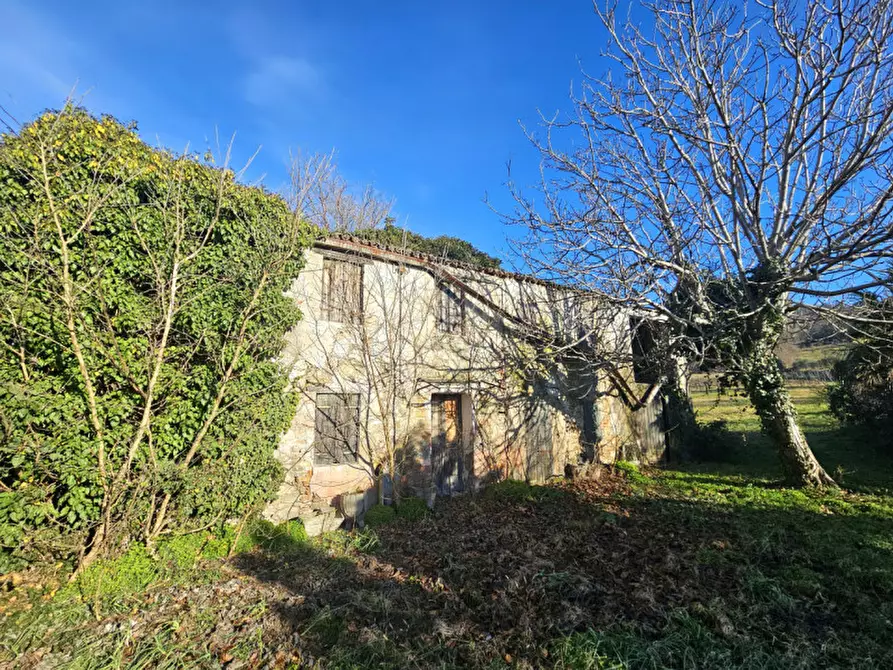 Immagine 1 di Rustico / casale in vendita  in Via Serraglio a Este