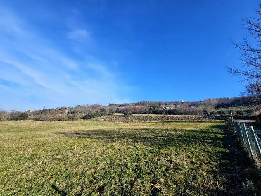 Immagine 2 di Rustico / casale in vendita  in Via Serraglio a Este