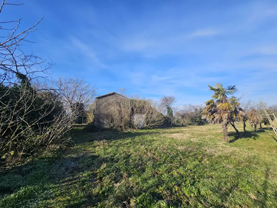 Immagine 5 di Rustico / casale in vendita  in Via Serraglio a Este