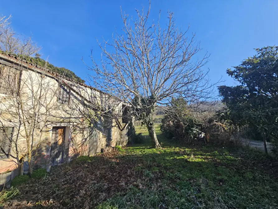 Immagine 6 di Rustico / casale in vendita  in Via Serraglio a Este
