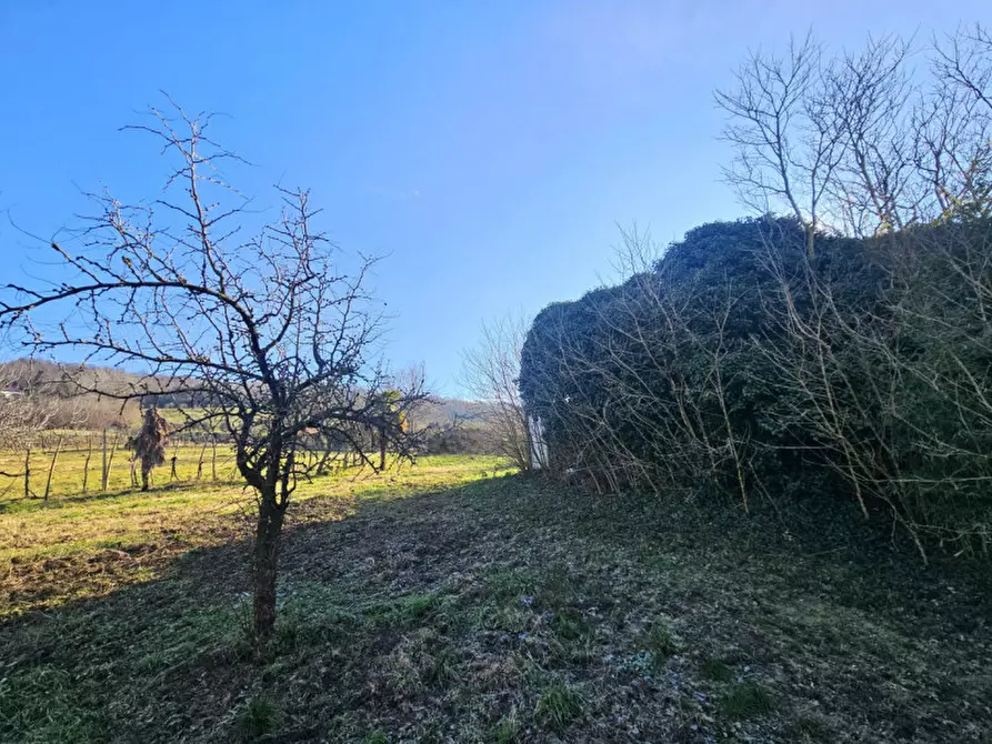 Immagine 7 di Rustico / casale in vendita  in Via Serraglio a Este