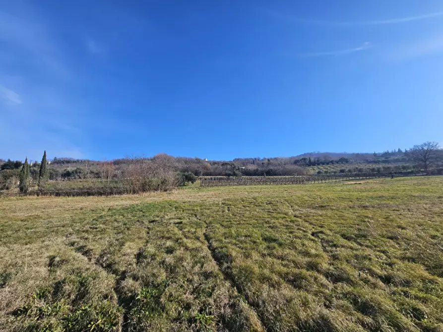 Immagine 8 di Rustico / casale in vendita  in Via Serraglio a Este