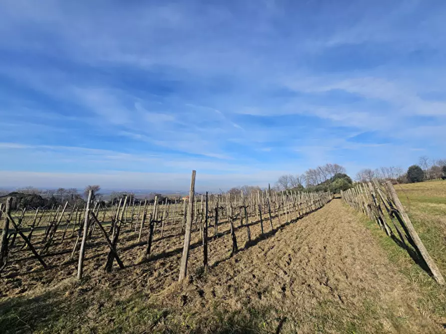 Immagine 10 di Rustico / casale in vendita  in Via Serraglio a Este