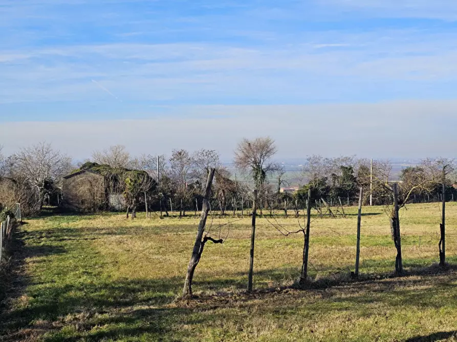 Immagine 11 di Rustico / casale in vendita  in Via Serraglio a Este