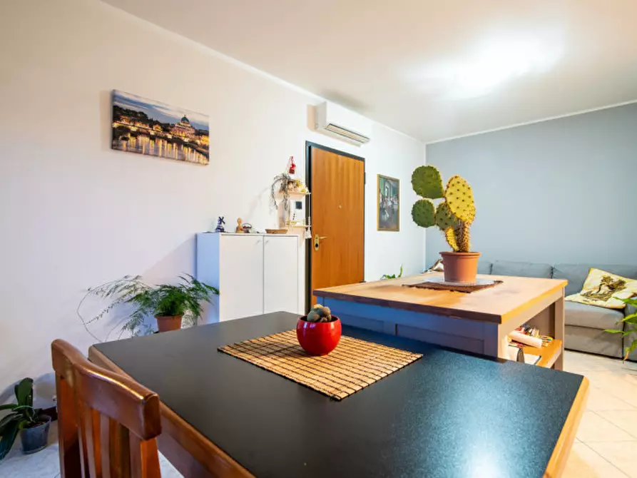 Immagine 4 di Appartamento in vendita  in Via Istria 1 a Curtarolo