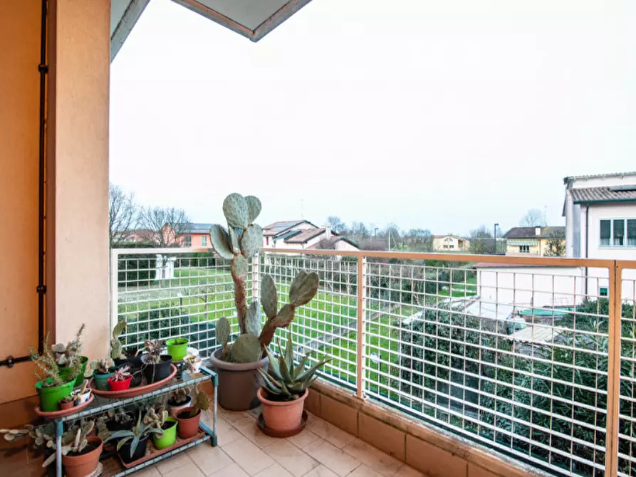 Immagine 5 di Appartamento in vendita  in Via Istria 1 a Curtarolo