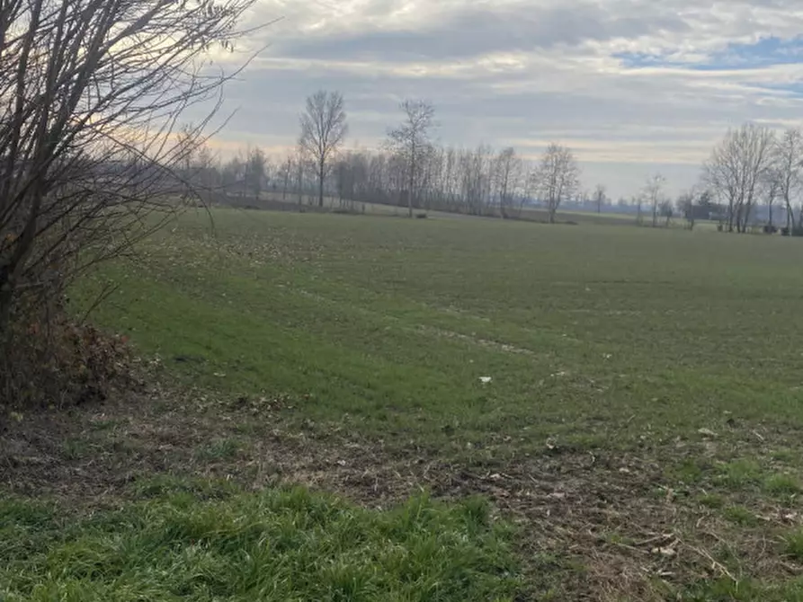 Immagine 2 di Terreno in vendita  in Via Caresin a Arzergrande