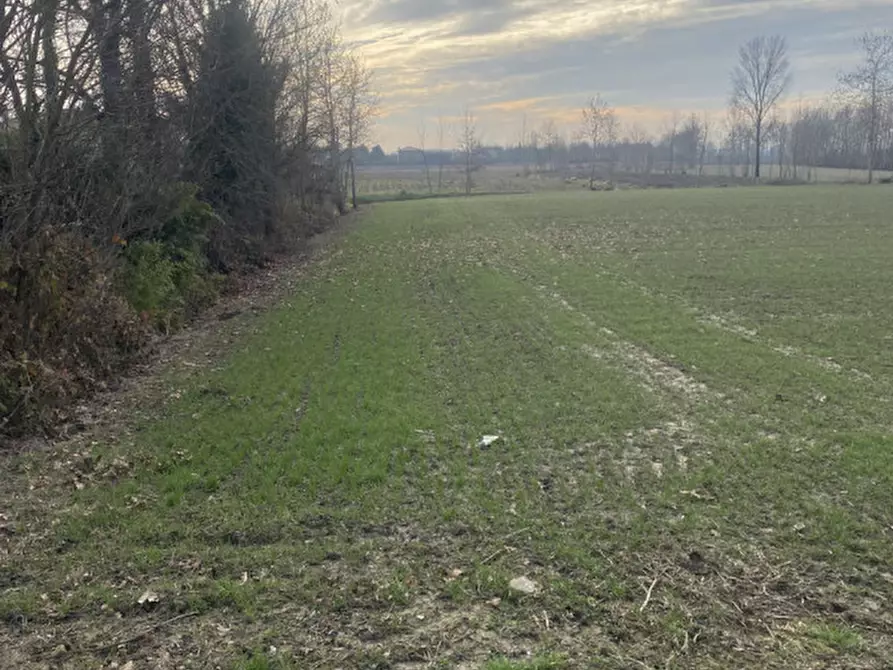 Immagine 3 di Terreno in vendita  in Via Caresin a Arzergrande