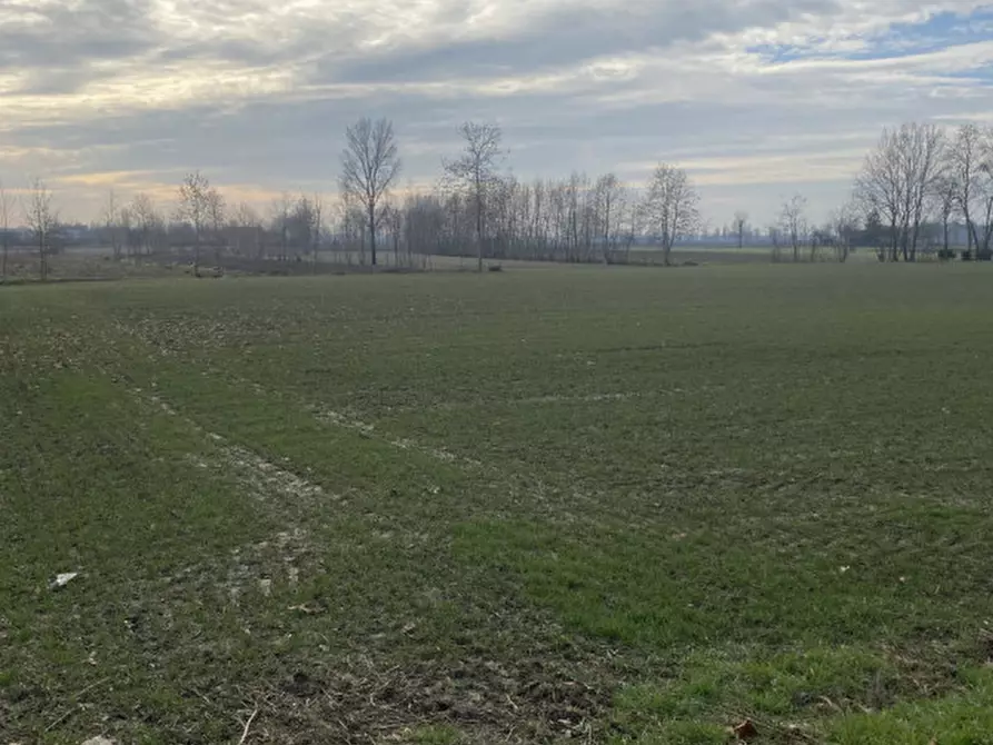 Immagine 4 di Terreno in vendita  in Via Caresin a Arzergrande