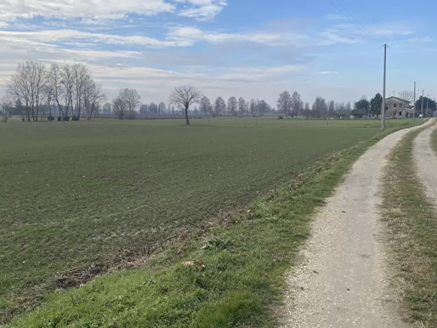 Immagine 6 di Terreno in vendita  in Via Caresin a Arzergrande