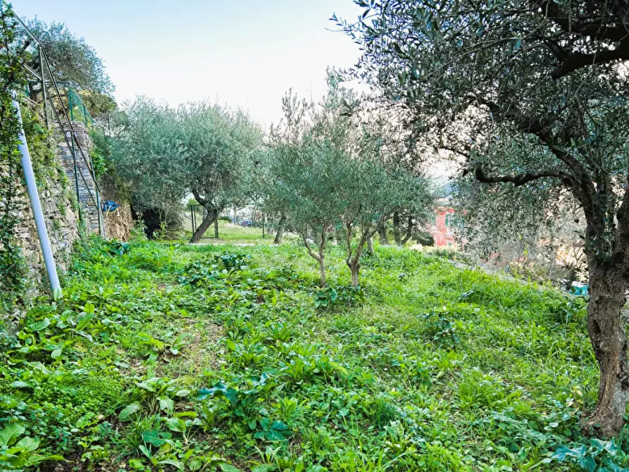 Immagine 15 di Villa in vendita  in Strada statale 1 Via Aurelia a Camogli