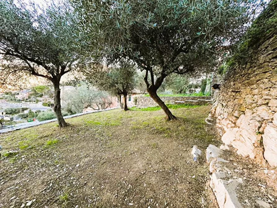 Immagine 16 di Villa in vendita  in Strada statale 1 Via Aurelia a Camogli