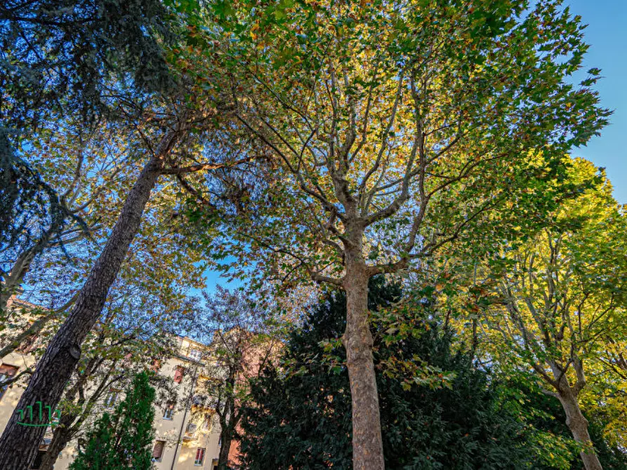 Immagine 5 di Appartamento in vendita  in Via Pieve di Cadore a Bologna